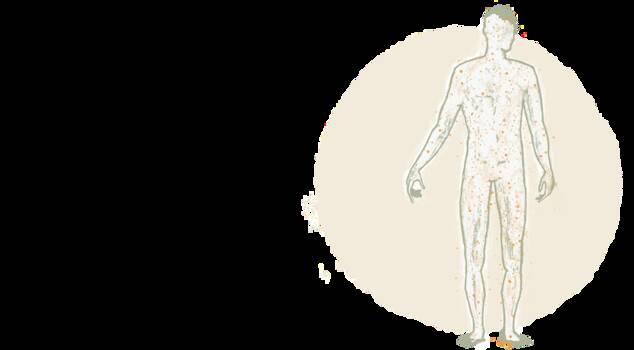 Ganzheitliche Behandlungen durch Kommunikation und Energiearbeit